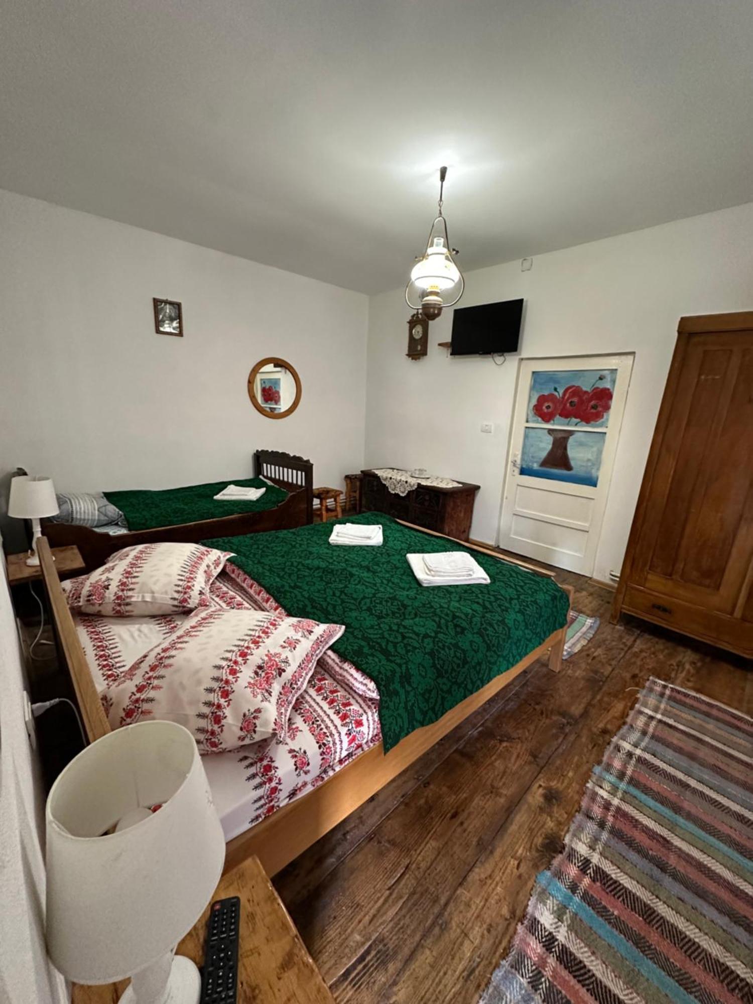 Casa Pe Valea Hartibaciului Guest House Barcut Exterior photo